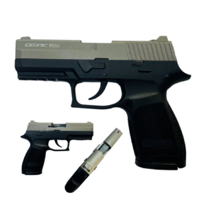 P250 Silver - 9mm Combo